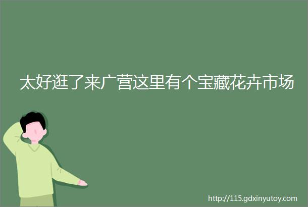 太好逛了来广营这里有个宝藏花卉市场